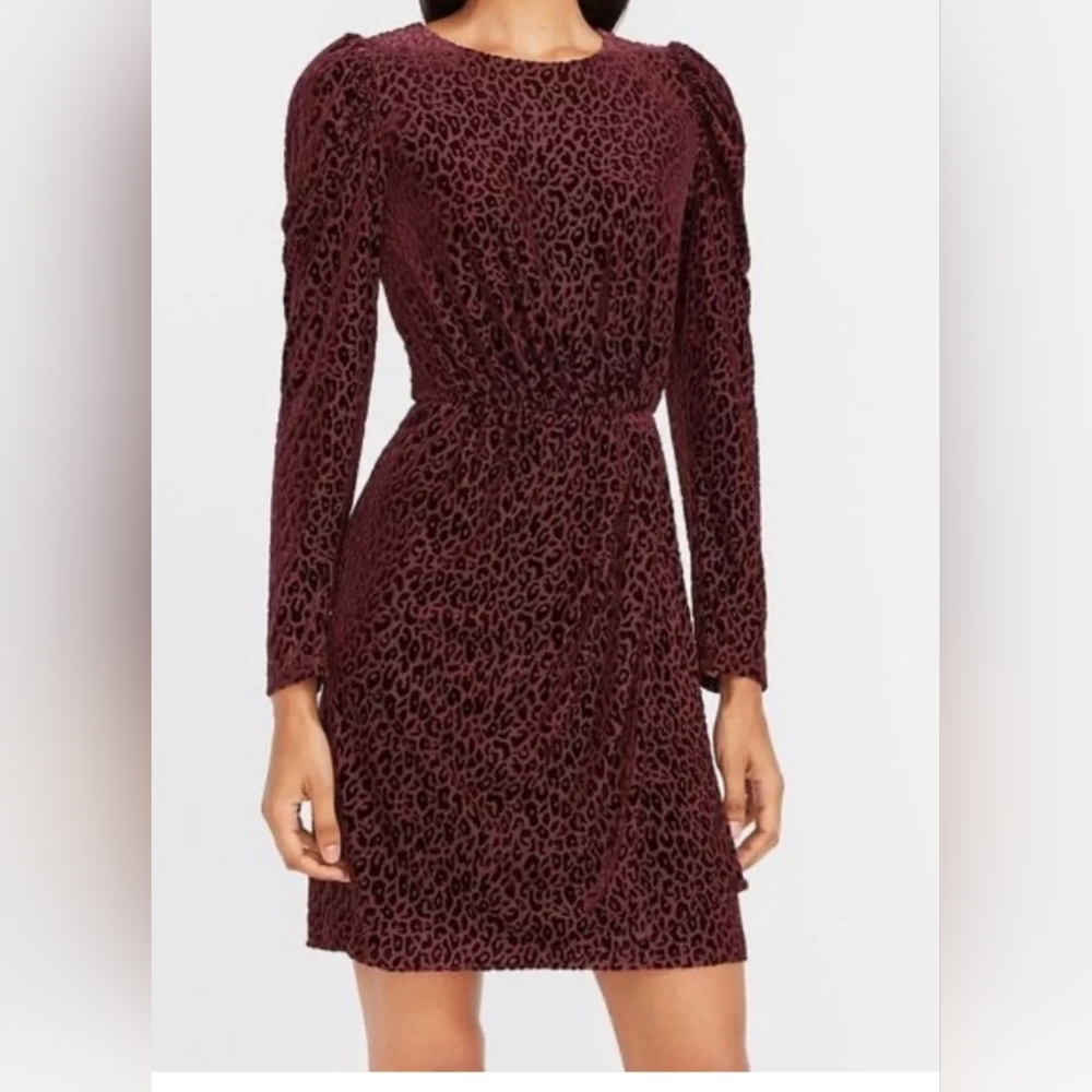 Velvet Leopard Print Dress